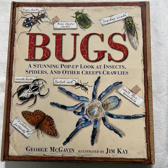 Pop Up Books (2)- Beautifully illustrated & informative books, like new! - Picture 5 of 11